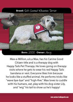Ruff N Ready Template (Back)